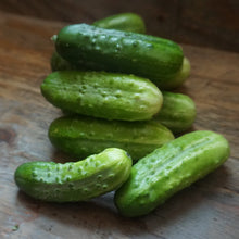 Load image into Gallery viewer, Cucumber: Cool Customer