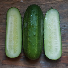 Load image into Gallery viewer, Cucumber: Cool Customer
