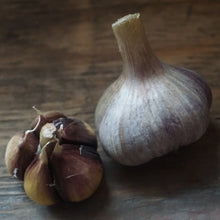 Load image into Gallery viewer, Seed Garlic: Russian Giant