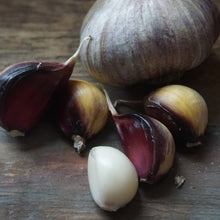 Load image into Gallery viewer, Seed Garlic: Russian Giant