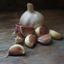 Load image into Gallery viewer, Seed Garlic: Carpathian