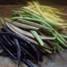 Load image into Gallery viewer, Bean: Alpenglow Array