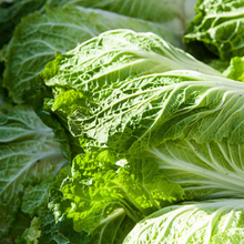 Load image into Gallery viewer, Cabbage: Kyoto No. 3