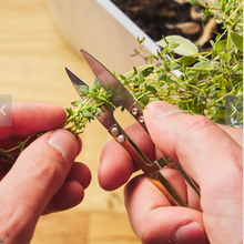 Load image into Gallery viewer, Mini Snips