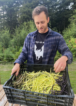 Load image into Gallery viewer, Bean: Alpenglow Array