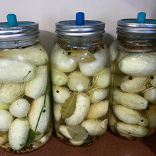 Load image into Gallery viewer, Cucumber: Mini White