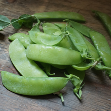 Load image into Gallery viewer, Pea: Swiss Giant