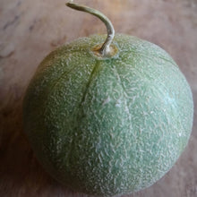 Load image into Gallery viewer, Muskmelon: Minnesota Midget