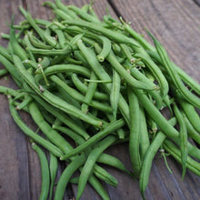 Load image into Gallery viewer, Bean: Provider