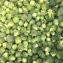 Load image into Gallery viewer, Brussels Sprout: Long Island Improved
