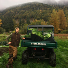 Load image into Gallery viewer, Cabbage: Perfection Savoy