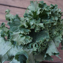 Load image into Gallery viewer, Kale: Blue Scotch Curled