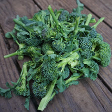 Load image into Gallery viewer, Broccoli: Waltham 29