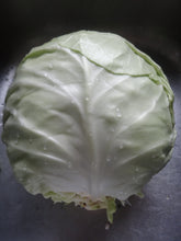 Load image into Gallery viewer, Cabbage: Golden Acre