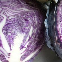 Load image into Gallery viewer, Cabbage: Red Acre