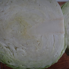 Load image into Gallery viewer, Cabbage: Golden Acre