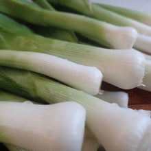 Load image into Gallery viewer, Leek: King Richard