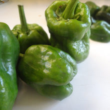 Load image into Gallery viewer, Pepper: King of the North