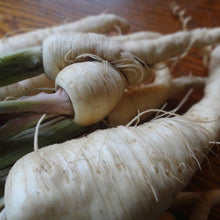 Load image into Gallery viewer, Parsnip: Harris Model