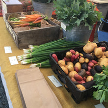 Load image into Gallery viewer, Onion: Nebuka