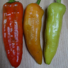Load image into Gallery viewer, Pepper: Hungarian Hot Wax
