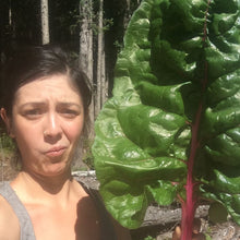 Load image into Gallery viewer, Swiss Chard: Rainbow