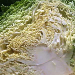 Cabbage: Perfection Savoy