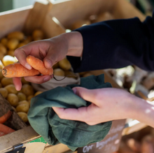Load image into Gallery viewer, Organic Cotton Food Bag Set