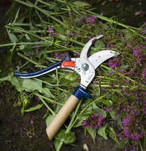 Load image into Gallery viewer, Hand Pruning Shears