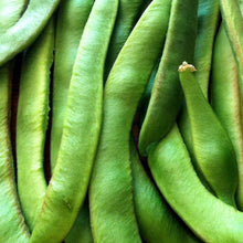 Load image into Gallery viewer, Bean: Scarlet Runner