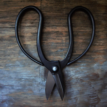 Load image into Gallery viewer, Sentei Garden Scissors