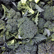 Load image into Gallery viewer, Broccoli: Solstice