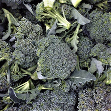 Load image into Gallery viewer, Broccoli: Solstice
