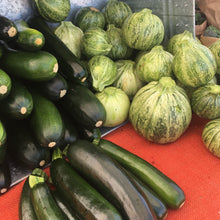 Load image into Gallery viewer, Zucchini: Dark Star