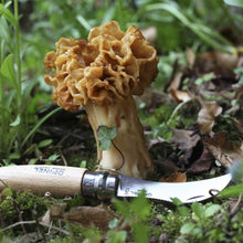 Load image into Gallery viewer, Mushroom Harvesting Knife