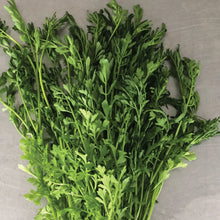 Load image into Gallery viewer, Cress: Chamsur