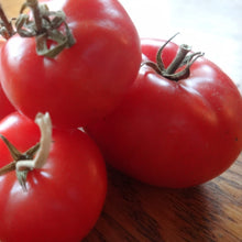 Load image into Gallery viewer, Tomato: Silvery Fir Tree