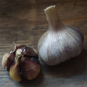Seed Garlic: Russian Giant