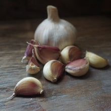 Load image into Gallery viewer, Seed Garlic: Carpathian
