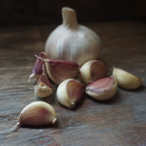 Seed Garlic: Carpathian