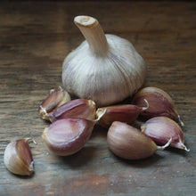 Load image into Gallery viewer, Seed Garlic: German Red

