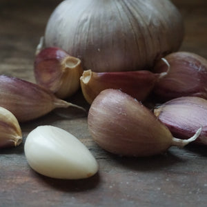 Seed Garlic: German Red