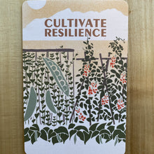 Load image into Gallery viewer, Foundroot Postcards
