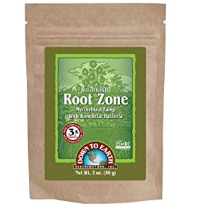 Root Zone