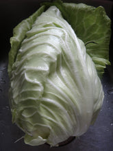 Load image into Gallery viewer, Cabbage: Early Jersey Wakefield
