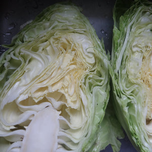 Cabbage: Early Jersey Wakefield