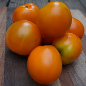 Tomato: Ida Gold
