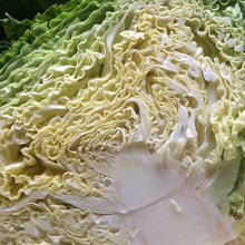 Load image into Gallery viewer, Cabbage: Perfection Savoy
