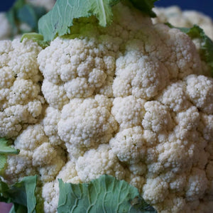 Cauliflower: Early Snowball
