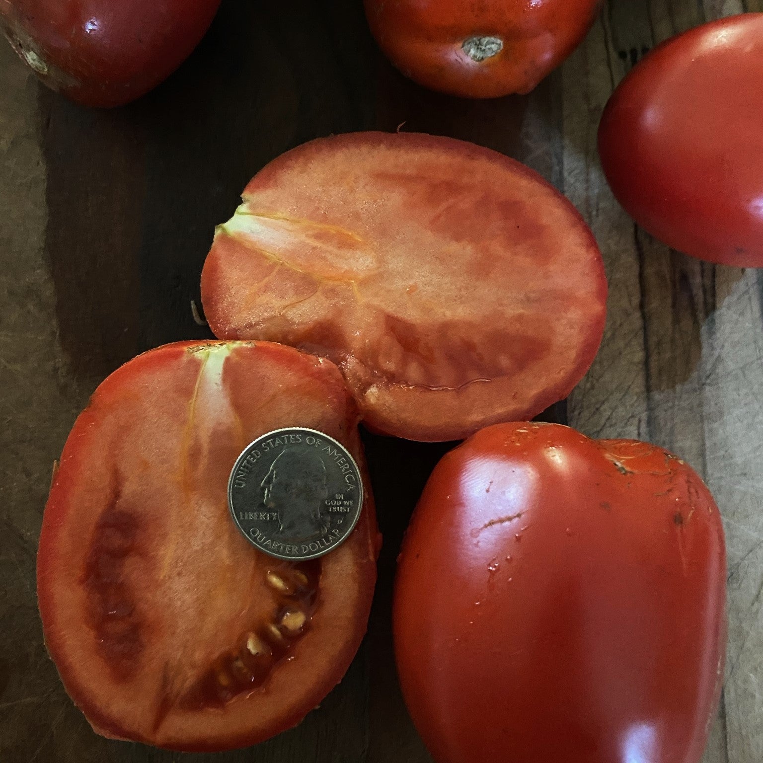 Tomato: Northern Ruby Paste –